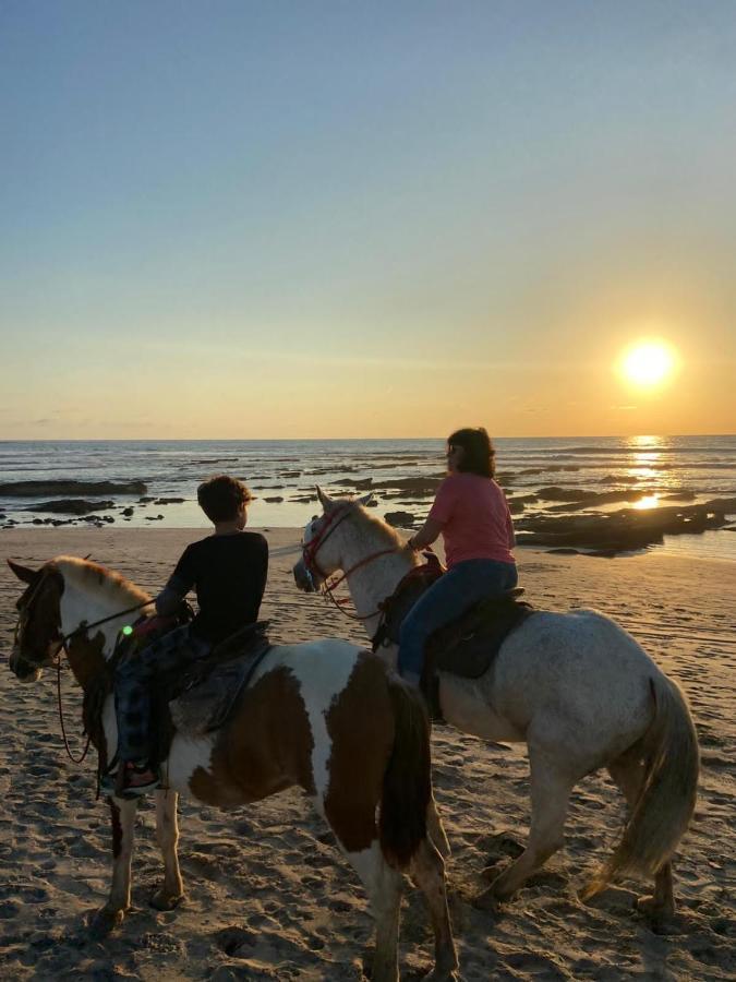 Casa Vitality Bed And Breakfast - Playa Guiones, Nosara - 4 Minute Walk To The Beach Экстерьер фото