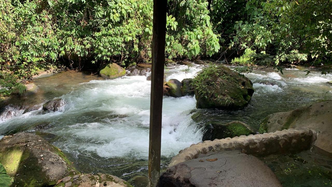 Casa Vitality Bed And Breakfast - Playa Guiones, Nosara - 4 Minute Walk To The Beach Экстерьер фото